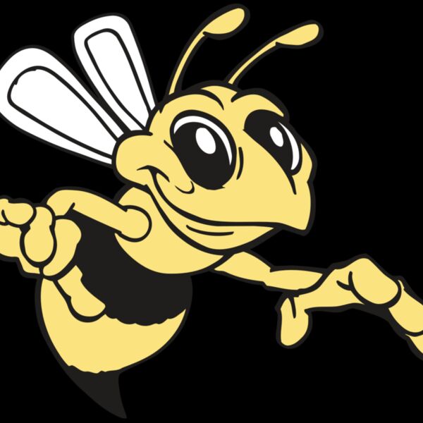 AR BEE 35 RC Thumbnail