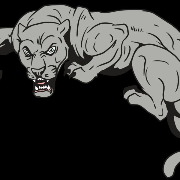 AR10 PANTHER 02 RQC Thumbnail