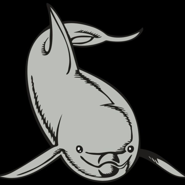 BAW DOLPHIN 02 RC Thumbnail