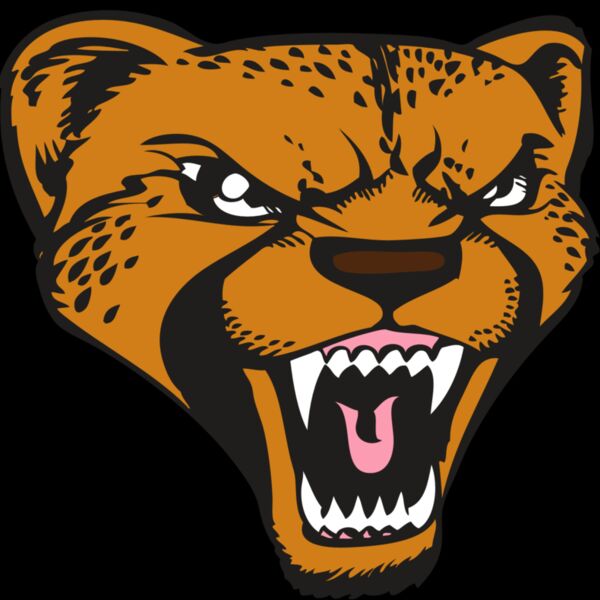 BAW CHEETAH 12 RC Thumbnail